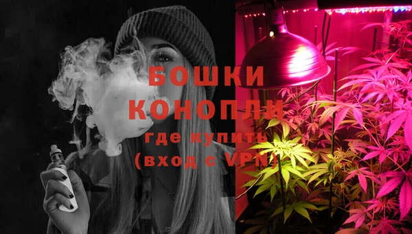 spice Елабуга