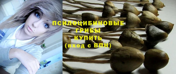 круглые Аркадак